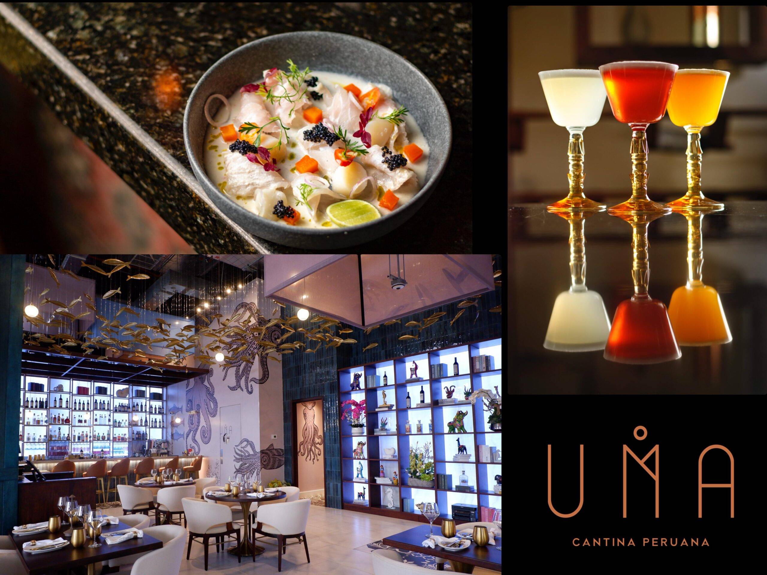 UMA Cantina Peruana: La Revolución de la Alta Cocina Peruana en Miami